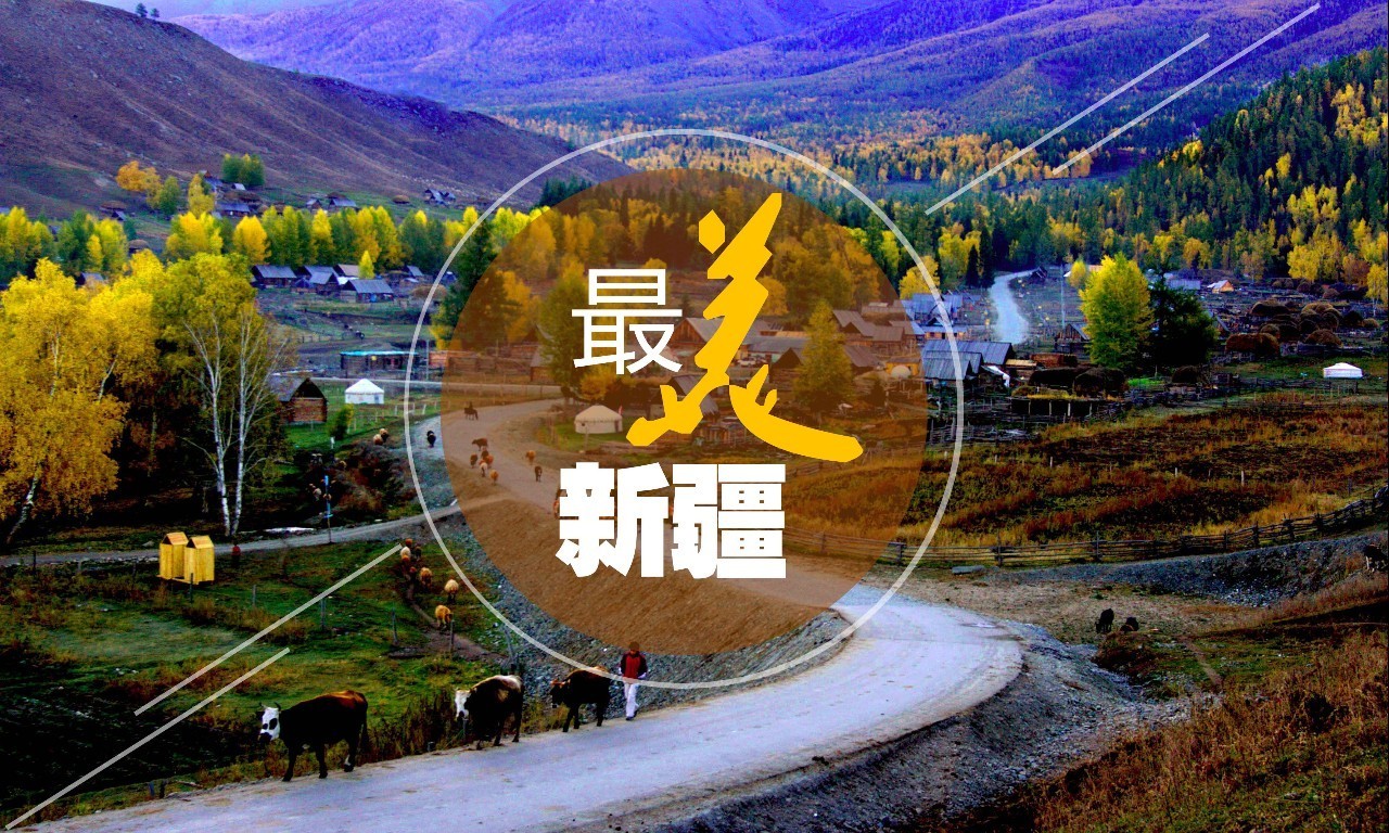 尊享纯玩游